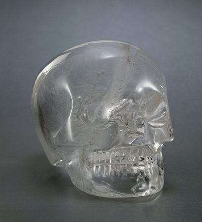 Skull by European